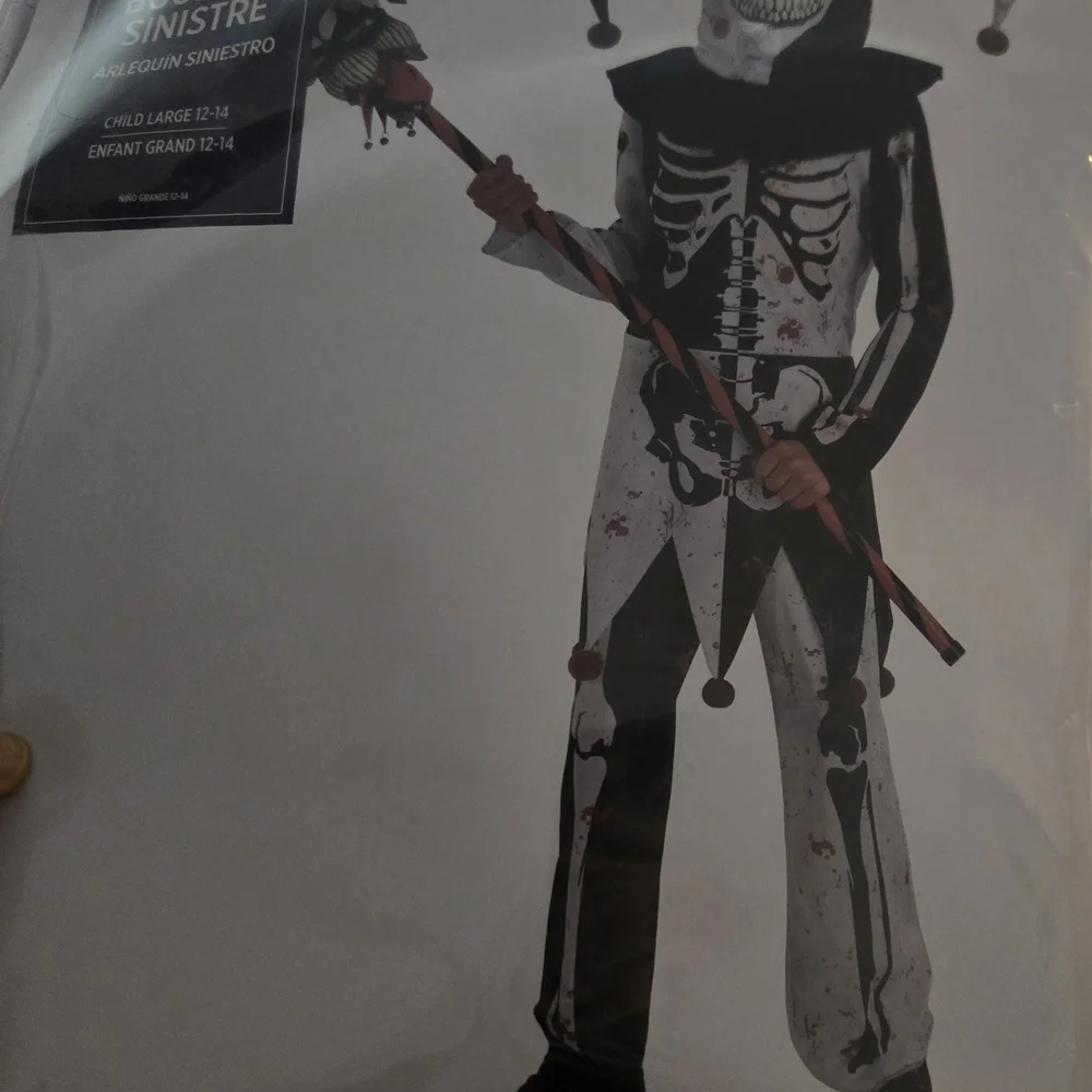 Menacing‎ Jester Costume